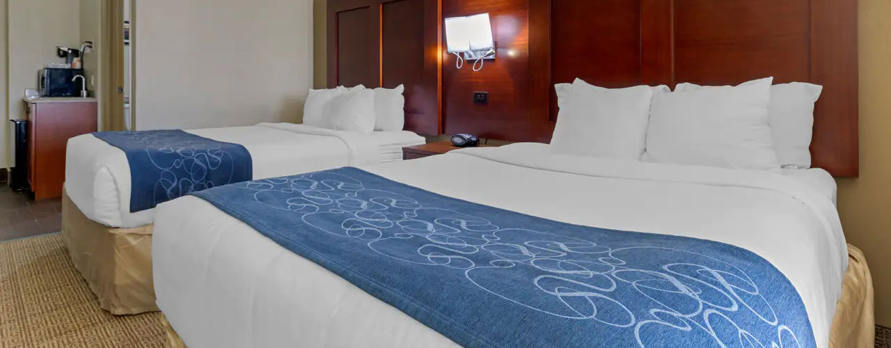Beautiful Room With Queen Bed